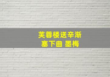 芙蓉楼送辛渐 塞下曲 墨梅